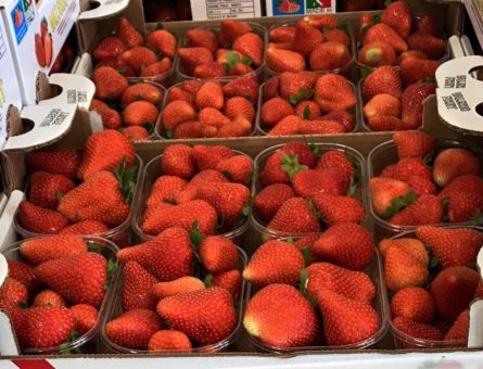 cassetta di fragole