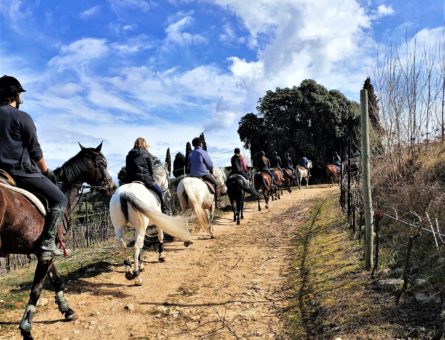 escursione a cavallo