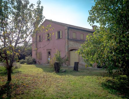 Ca' della Vigna nel Padovano