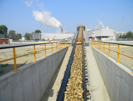 trasformazione delle bietole in zucchero
