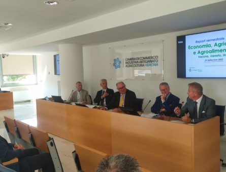 La presentazione del report a Verona