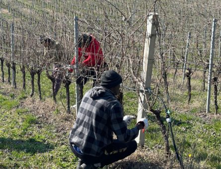 corso potatori febbraio