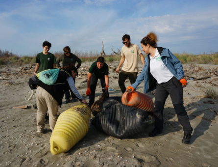 Raccolta boe inquinanti sull'isolotto Scano Cavallari (RO), ph Fondazione Openature (2)