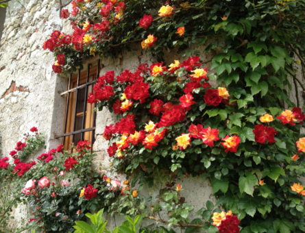 Un agriturismo bellunese