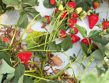 WhatsApp Image 2026-04-28 at 16.41.39