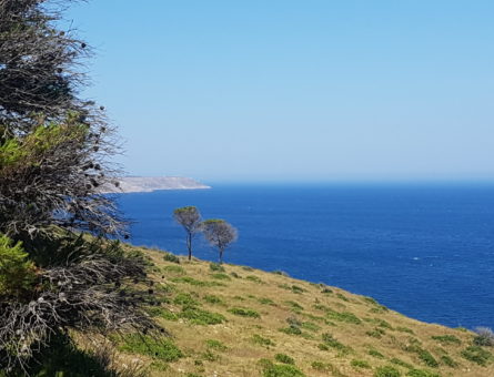 20190628_151247